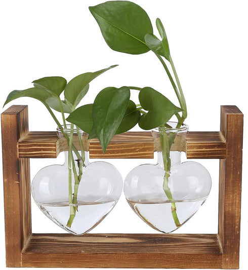 Plant Terrarium with Wooden Stand,Heart Shaped Transparent Glass Vase Flower Pot Hydroponics Plant Propagation Station for Hydroponics Plants Home...