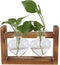 Plant Terrarium with Wooden Stand,Heart Shaped Transparent Glass Vase Flower Pot Hydroponics Plant Propagation Station for Hydroponics Plants Home...
