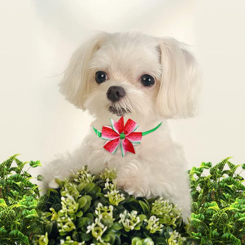 32pcs Summer Dog Collar Bow Ties, Bulk Adjustable 16pcs Small Dog Bow Ties and 16pcs Dog Neck Ties, Hawaii Fruit Dog Collar Bowties for Small Medi...