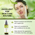 Organic Veda Neem Oil - Pure, Cold Pressed & Organic Neem Oil for Skin, Hair, Face, Body, Scalp - Natural Moisturizer, Virgin Neem seed oil - Rich...