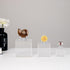 Clear Acrylic Souvenir Collectables Display Case Holder Box, Acrylic Easel Display Stand Box and Stand Holder for Watches Capsules Challenge Medal...