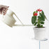 Small Plant Pots Plastic Planters with Tray and Drainage Holes for Indoor Outdoor Plants Succulent and Flowers Modern Home Decoration Gift Idea 9 ...