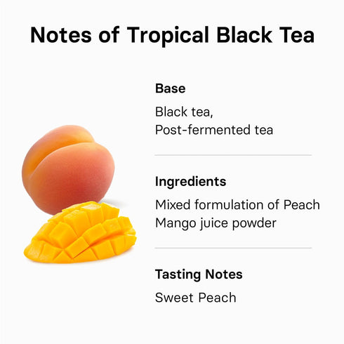 OSULLOC Peach Black Tea (Tropical Mango & Peach Flavor), Fruit tea Blend, Premium Teabags from Jeju Island, 20 count...