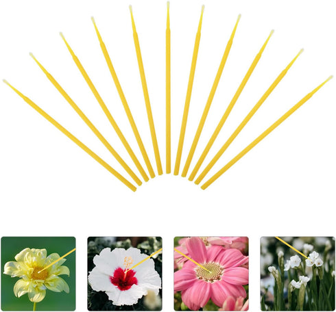 INOOMP 100pcs Portable Pollinator Tools-Duster Vegetable Plant Flower Round Fruits Pollination Plants Sprayer Outdoor Manual Miniatures Miniature ...