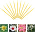 INOOMP 100pcs Portable Pollinator Tools-Duster Vegetable Plant Flower Round Fruits Pollination Plants Sprayer Outdoor Manual Miniatures Miniature ...