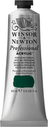 Winsor & Newton Professional Acrylic Paint, 60ml (2-oz) Tube, Perylene Green...