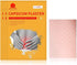 20 Pcs Capsicum Plaster Capsaicin Patch (7.09 * 4.72 in), Capsicum Heat Plaster...