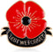 Lest We Forget Poppy Brooch Pin Flower Broach Memorial Day Remembrance Day...
