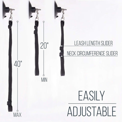 Dog Bathing Tether with Suction Cup for Pet Shower and Grooming...