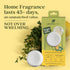 Enviroscent Non Toxic Air Freshener (Lemon Leaf & Thyme) Plug-in Air Freshener for Home | Essential Oil Plug In | Home Fragrance Last 45+ Days | 1...