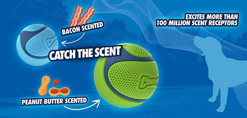 Chuckit! Sniff Ball Dog Toy, Durable High Bounce Peanut Butter Scented Rubber Dog Ball Fetch Toy, Medium, 1 Pack...