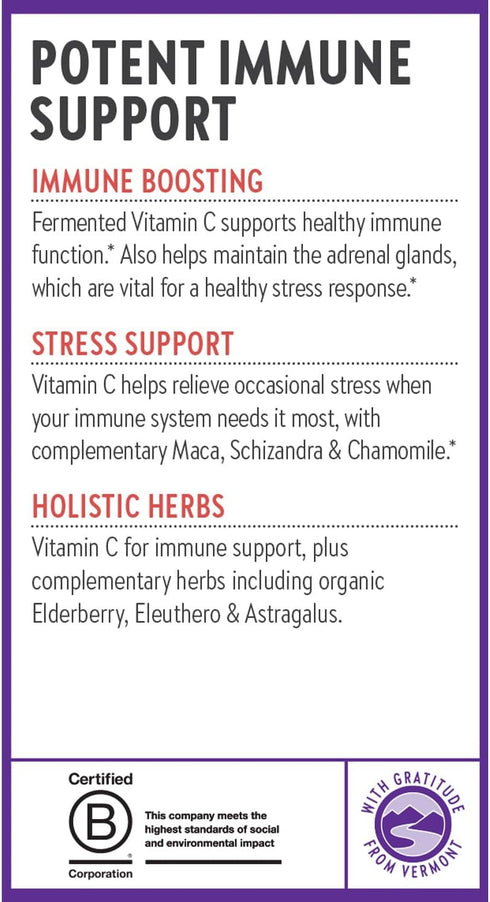 New Chapter® Vitamin C Immune Defense Supplement + Elderberry – Excellent Source of Vitamin C, One Daily Tablet for Healthy Immune Support, Made w...