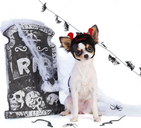 Hying Cats Halloween Demon Hat for Dogs Pet, Adjustable Cute Black Pet Devil Cap for Halloween Cosplay Costume Puppy Kitten Party Dress Up Accesso...