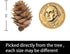 Deloky 150 Pcs Christmas Natural Mini Pine Cones- 2CM Thanksgiving Small Pinecones Ornaments Vase Fillers for DIY Crafts, Home Decorations, Fall a...
