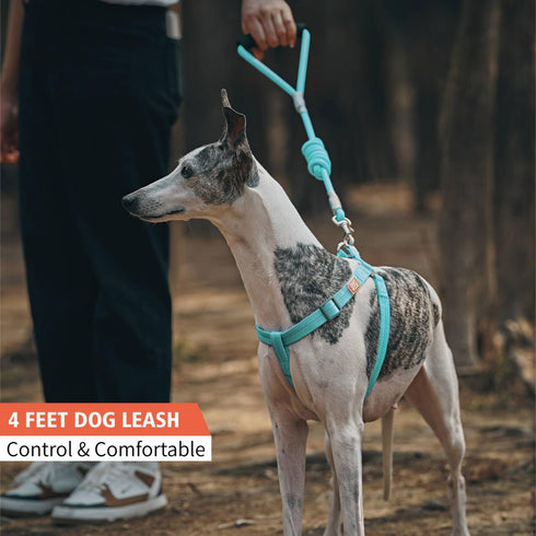 4 FT Dog Leash with Comfortable Padded Handle Threads for Small Medium and Large Dogs Puppy Laisse Pour Chien (4FT-0.28"(Pack of 1) Red S)...