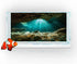 36X18 Inches Fish Tank Background, Sunshine Ocean Floor Terrarium Background Decor, Underwater Stone Durable Polyester Background with 8 EVA Doubl...