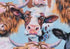 Cow Portrait Cotton Calico Fabric - Holstein, Hereford, Highland Cattle Precut Fabric by The Yard - One Yard...