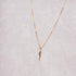 LEMON GRASS Minimalist Dainty Gold Italian Horn Necklace | Sterling Silver Lucky Horn Dainty Protection Necklace Layer Cornicello Jewelry...
