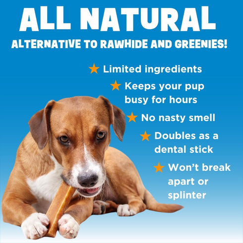 Dinovite YakoSnaks - Himalayan Yak Chews for Dogs - Long Lasting and Low Odor Yak Cheese Dog Chews (Small Dogs)...