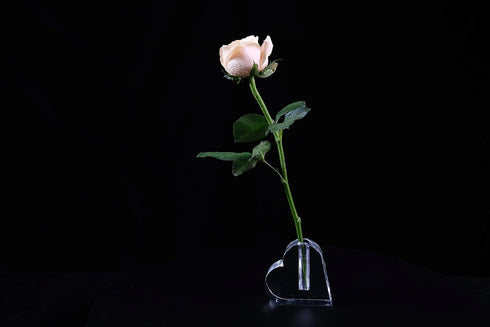 24k Rose Display Stand, Heart-Shaped Rose Stand For Single Real Roses or Artificial Flower Base Rose Transparent Shelf Support ( Heart-Shaped )...