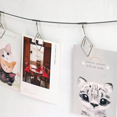 TFu Wall Hanging Photo Display, DIY Picture Photo Frame String with 12 Clips for Hanging Photos Notes and Artworks …...