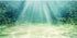 AWERT 72x24 inches Aquarium Background Aquatic Plant Bubble Underwater Ocean Floor Fish Tank Background...