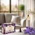 HEM Precious Lavender Incense Cones - Pack of 12 - 120 Count - HEM Incense of India...