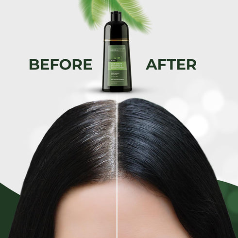 Black Hair Dye Shampoo & Conditioner, Natural Hair Dye Shampoo 3 in 1, 100% Gray Hair Coverage, Hair Color for Men & Women, 13.5 FL OZ (400 ML)...