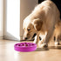 Slow Feeder Dog Bowls Fun Feeder Slo Bowl Puzzle Feeder Dog Bowls Dog Food Bowl Dog Slow Feeder Bowls Slow Feeder Dog Bowls Large Breed, Small Bre...