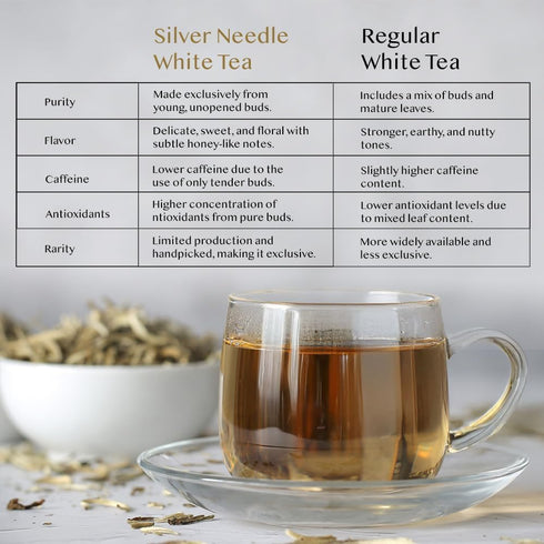 VAHDAM, Silver Pine Needle White Tea Loose Leaf 50g | Caffeine Free, Gluten Free | Pure Unblended Loose Leaf Tea | Vacuum Sealed | Brew As Hot, Ic...