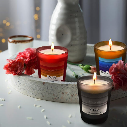 Candles for Home Scented, 3 Pack Frosted Glass Jar Soy Candles, Smoked Vanilla & Rose & Oak Blossom Aromatherapy Candle Gift Set Bath and Body Wor...