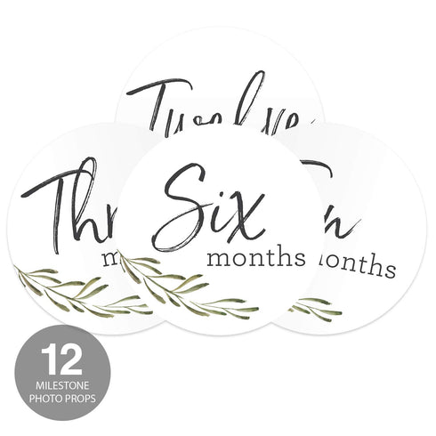 Baby Milestone Signs/Greenery Monthly Milestones/Botanical Infant Photo Prop...