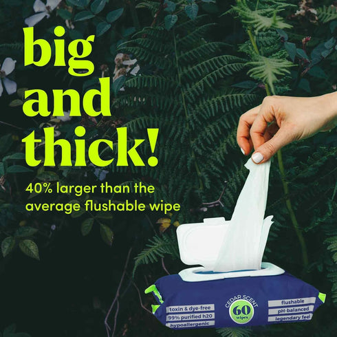 Goodwipes Flushable Butt Wipes Made w/Soothing Botanicals & Aloe – Soft & Gentle Wet Wipe Dispenser for Home Use, Septic & Sewer Safe – Largest Ad...