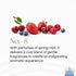 Gonesh - Classic Collection - Non-Toxic 10” Slow Burn Light Fruit & Floral Aromatic Sticks - No. 8-100 Pack...
