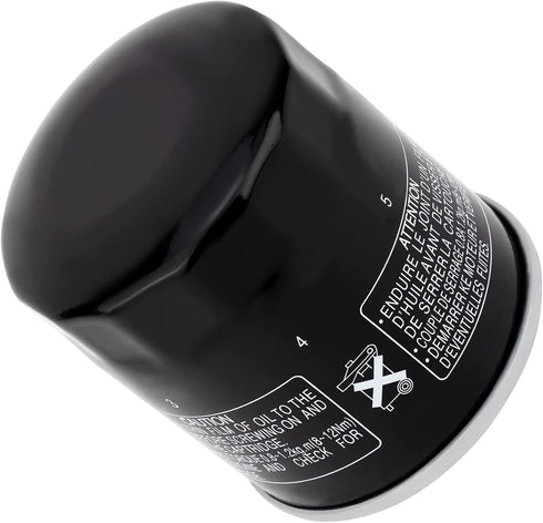 Road Passion 160970002 PH6017A 2520499 3084963 Oil Filter for HONDA VT1100 C C2 SHADOW SABRE 1997-2007 VT1100D2 SHADOW A.C.E.1998 VT1100C3 SHADOW ...