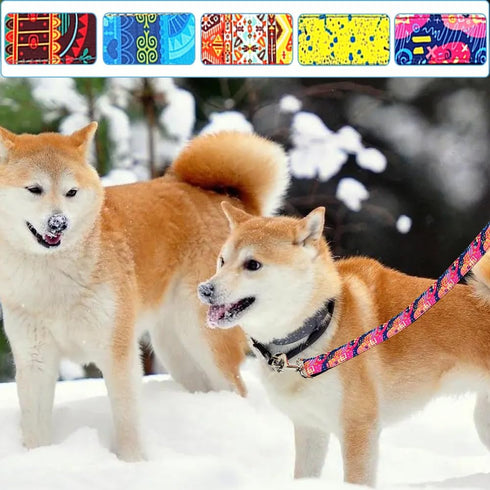 10FT Strong Nylon Dog Leash, Unique and Vibrant Print Pattern Dog Leash for Medium and Large Dogs Daily Outdoor Walking Running...