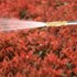 Hydro Jet High Pressure Power Washer, Pressure Washer Gun with Garden Hose End, Glass Window Cleaning Sprayer Extendable Garden Car Water Washing,...