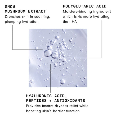 Versed Moisture Maker Hydrating Hyaluronic Serum - Lightweight Face Serum for Dry Skin, Moisturizing Polyglutamic Acid + Snow Mushroom Extract for...