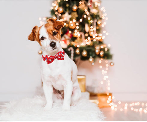 Lionheart glory Christmas Dog Bow Collar Santa Print Bow Dog Collar Girl or Boy Dog Bow tie Collar Pet Gift Adjustable Dog Collar for Large Dog...
