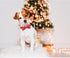 Lionheart glory Christmas Dog Bow Collar Santa Print Bow Dog Collar Girl or Boy Dog Bow tie Collar Pet Gift Adjustable Dog Collar for Large Dog...