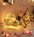 OakHaomie 6 Pack 10ft(3m) LED Starry String Lights 30 Micro LEDs on Silvery Copper Wire,2pcs CR2032 Batteries Required and Included, for DIY Weddi...