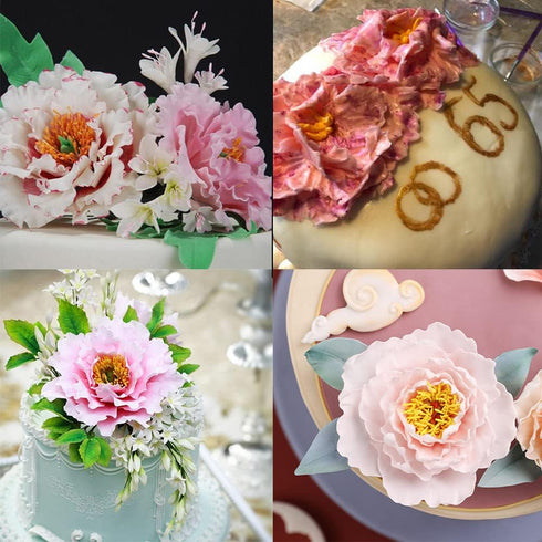 SK 5-Piece Peony Fondant Cutters Set Sugarcraft Modeling Tools Kit for Cake Decoration Black...