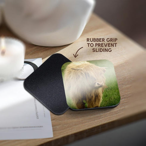 3dRose Scotland, Highland Cow, Farm animal-EU36 CMI0128-Cindy Miller Hopkins-Soft Coasters, Set of 8 (CST_82799_2)...