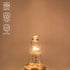 G4 Halogen Bulb 10W, Clear JC Type G4 Bi-Pin Halogen Light Bulbs, Dimmable AC/DC 12V Warm White Lamps for Landscape Lighting,Track Lighting, Home ...