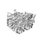 Pocket Hole Screws for Pocket Hole Jig Woodworking Tool (50 Pack)...