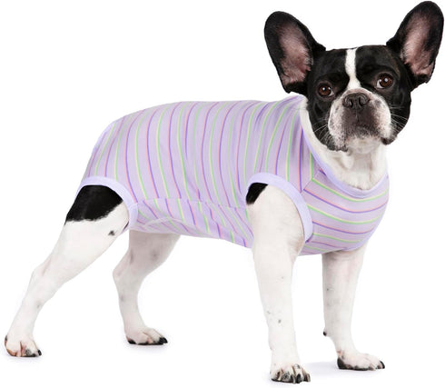 Puppy Striped Recovery Suit for Female Male Dogs Cats,Zip Up Dog Onesie Recovery Shirt Abdominal Wounds,Professional Spay Neuter Dog Pet Bodysuit ...
