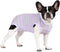 Puppy Striped Recovery Suit for Female Male Dogs Cats,Zip Up Dog Onesie Recovery Shirt Abdominal Wounds,Professional Spay Neuter Dog Pet Bodysuit ...