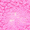 Praisebank Clay Beads, 2000pcs Pink Clay Beads,Bracelet Making, Polymer Clay Beads, Beads, Clay Beads for Bracelets Making, Beads for Jewelry Maki...