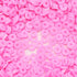 Praisebank Clay Beads, 2000pcs Pink Clay Beads,Bracelet Making, Polymer Clay Beads, Beads, Clay Beads for Bracelets Making, Beads for Jewelry Maki...