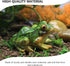 SEWACC Adorable Frogs Figurine 2 Pcs Frog Statue Ornaments Desktop Lovely Resin Frogs Decor Resin Animal Sculpture Creative Craft for Garden Patio...